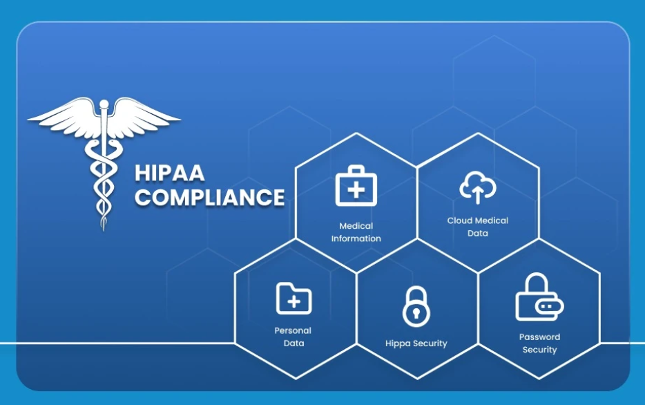 Healthcare software developer reviewing HIPAA compliance requirements, patient data security, and application safeguards.